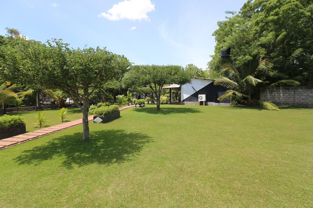 Eco Hotel Black&White - Anuradhapura Mihintale Exterior foto