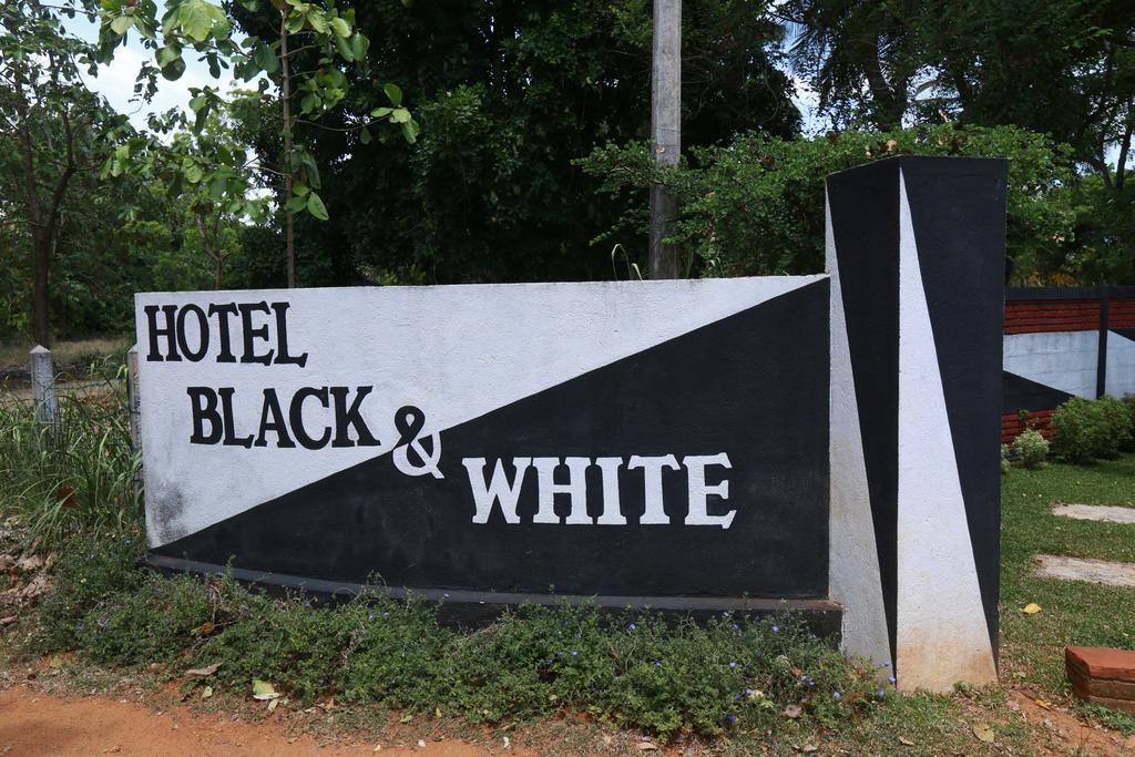 Eco Hotel Black&White - Anuradhapura Mihintale Exterior foto